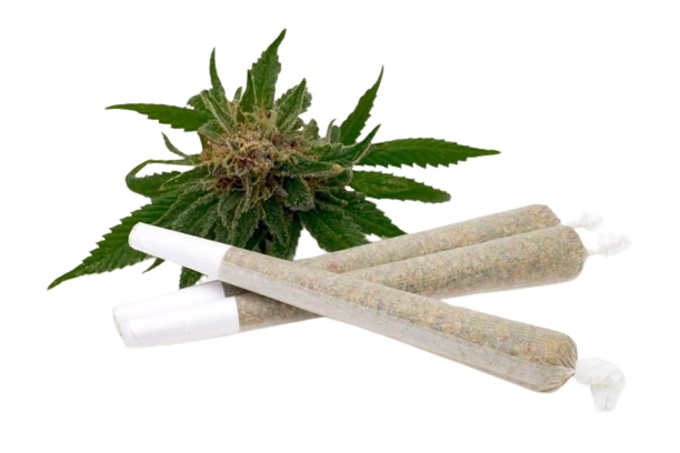 joint and fresh leaf